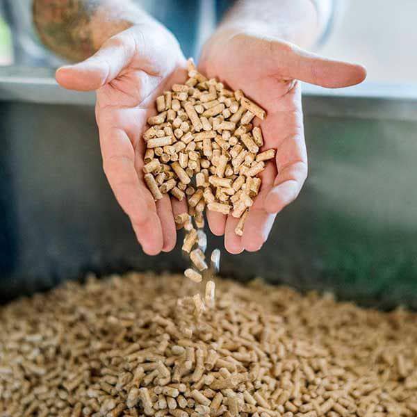 5 ways to check wood pellet quality